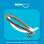 Lower Molars Forceps