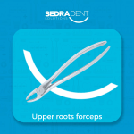 Upper Roots Forceps