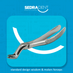 wisdom and molar roots