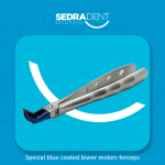 extracting forceps lower molars adults blue plasma