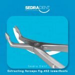 WhatsApp Image 2023-12-26 at 1.37.03 PM (1)