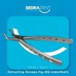 WhatsApp Image 2023-12-26 at 1.37.03 PM (1)