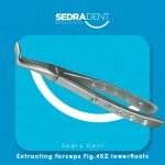 WhatsApp Image 2023-12-26 at 1.37.03 PM (1)