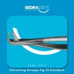 WhatsApp Image 2023-12-26 at 1.37.51 PM (1)