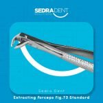 WhatsApp Image 2023-12-26 at 1.37.51 PM (1)