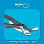 WhatsApp Image 2023-12-26 at 2.41.21 PM