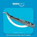 WhatsApp Image 2023-12-26 at 2.41.21 PM