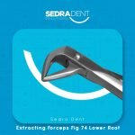 WhatsApp Image 2024-01-10 at 3.11.03 PM