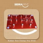 WhatsApp Image 2024-01-11 at 12.50.36 PM